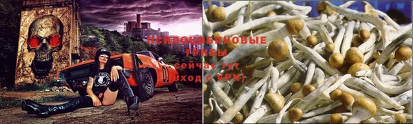круглые Армянск