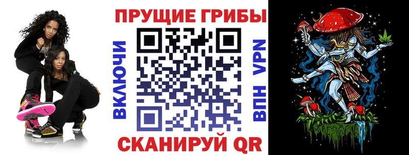 Галлюциногенные грибы мухоморы  закладка  Усть-Джегута 